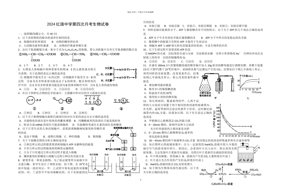 红旗中学第四次月考生物试卷_第1页