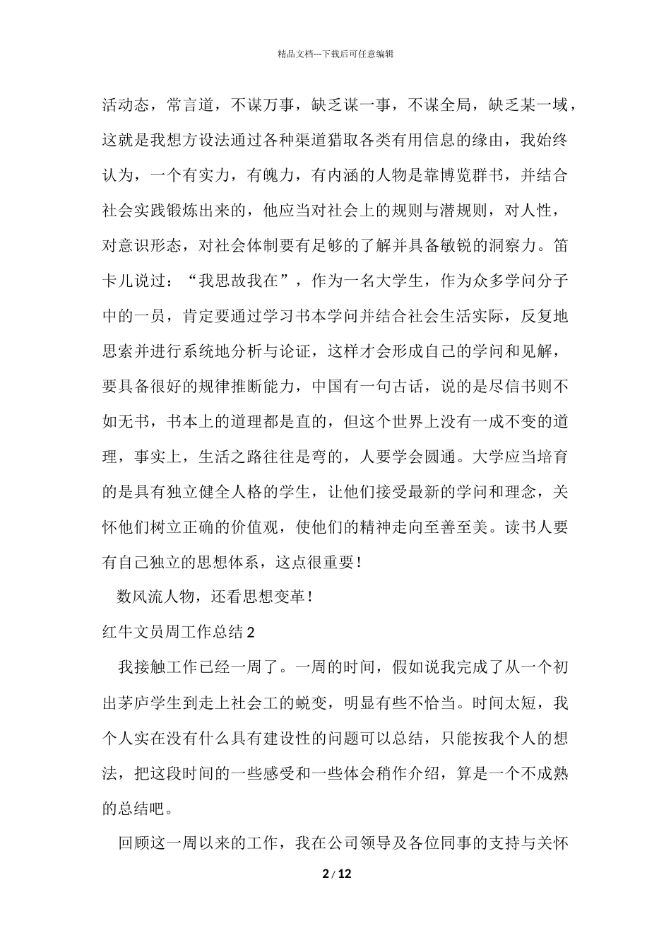 红牛文员周工作总结_第2页