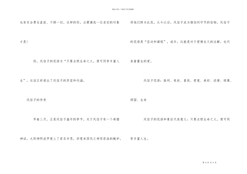 红色的风信子花语_第3页