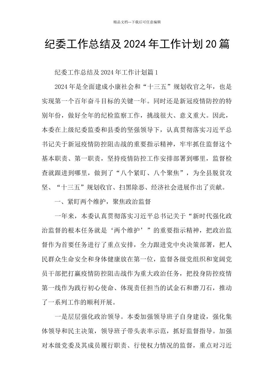 纪委工作总结及2024年工作计划20篇_第1页