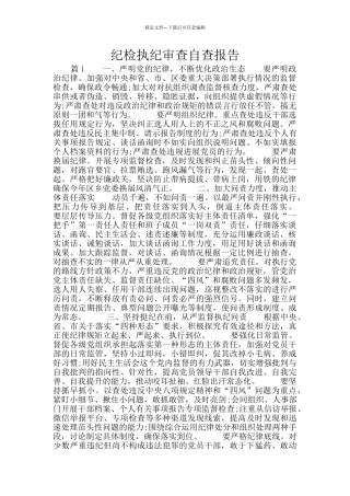 纪检执纪审查自查报告