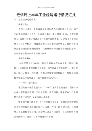 经信局上半年工业经济运行情况汇报