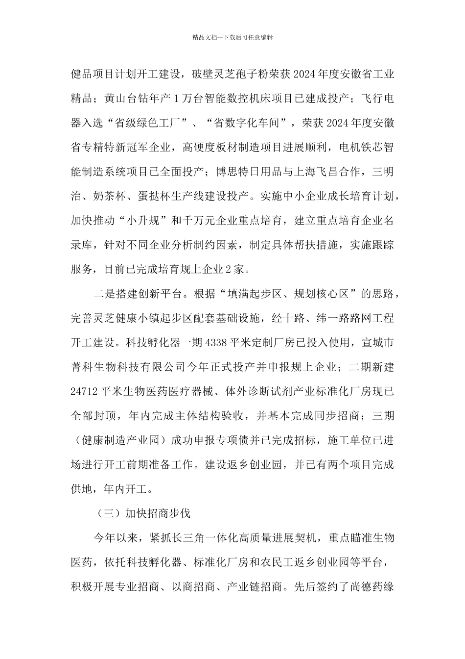 经开区2024年工作总结及2024年工作计划_第2页