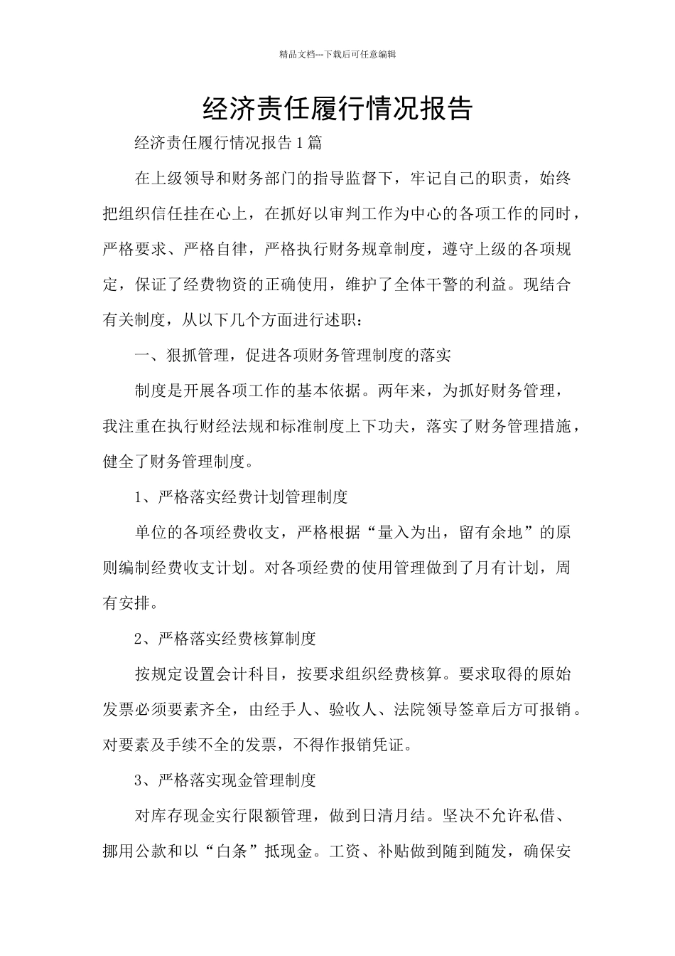 经济责任履行情况报告_第1页