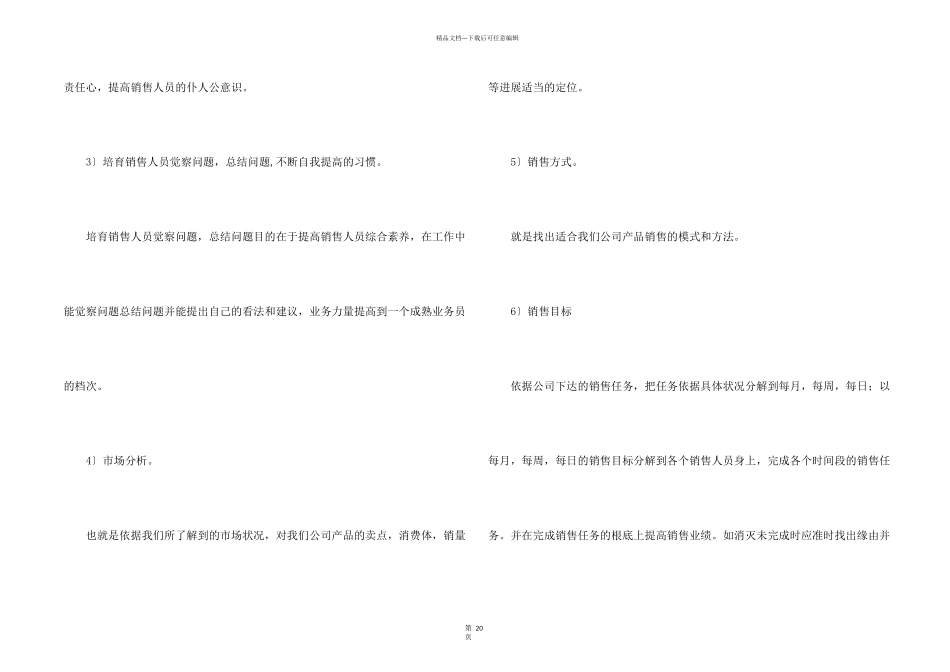 经理销售工作计划集合10篇_第2页