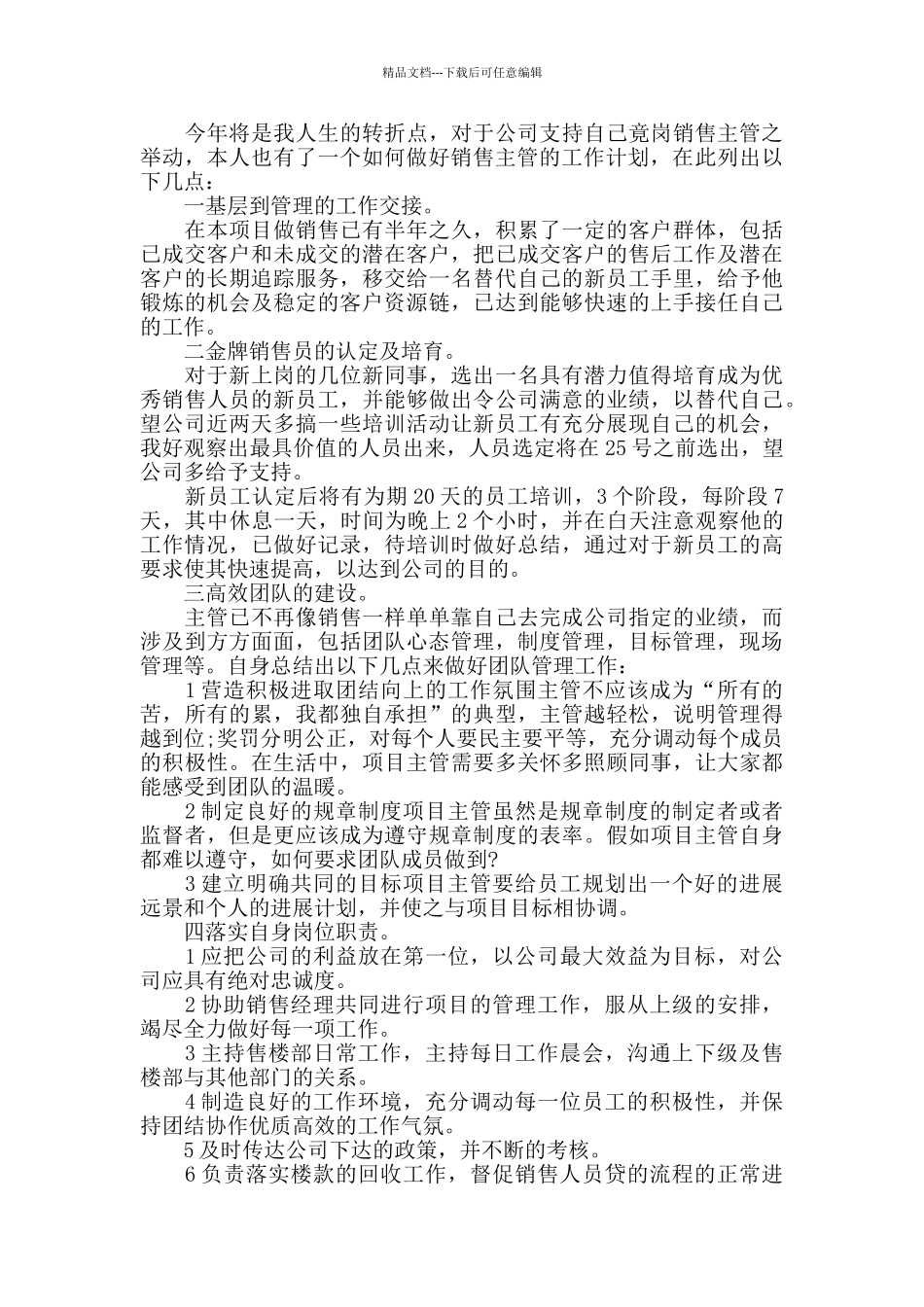 经理销售工作计划最新汇总大全_第2页