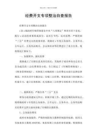 经费开支专项整治自查报告
