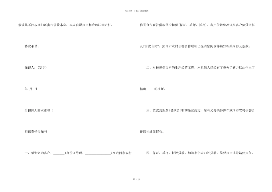 给担保人的承诺书_第2页