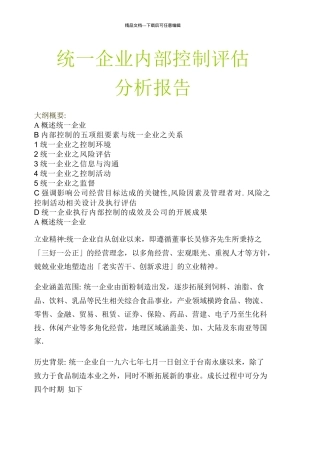 统一企业内部控制评估分析报告