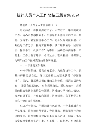 统计人员个人工作总结五篇合集2024