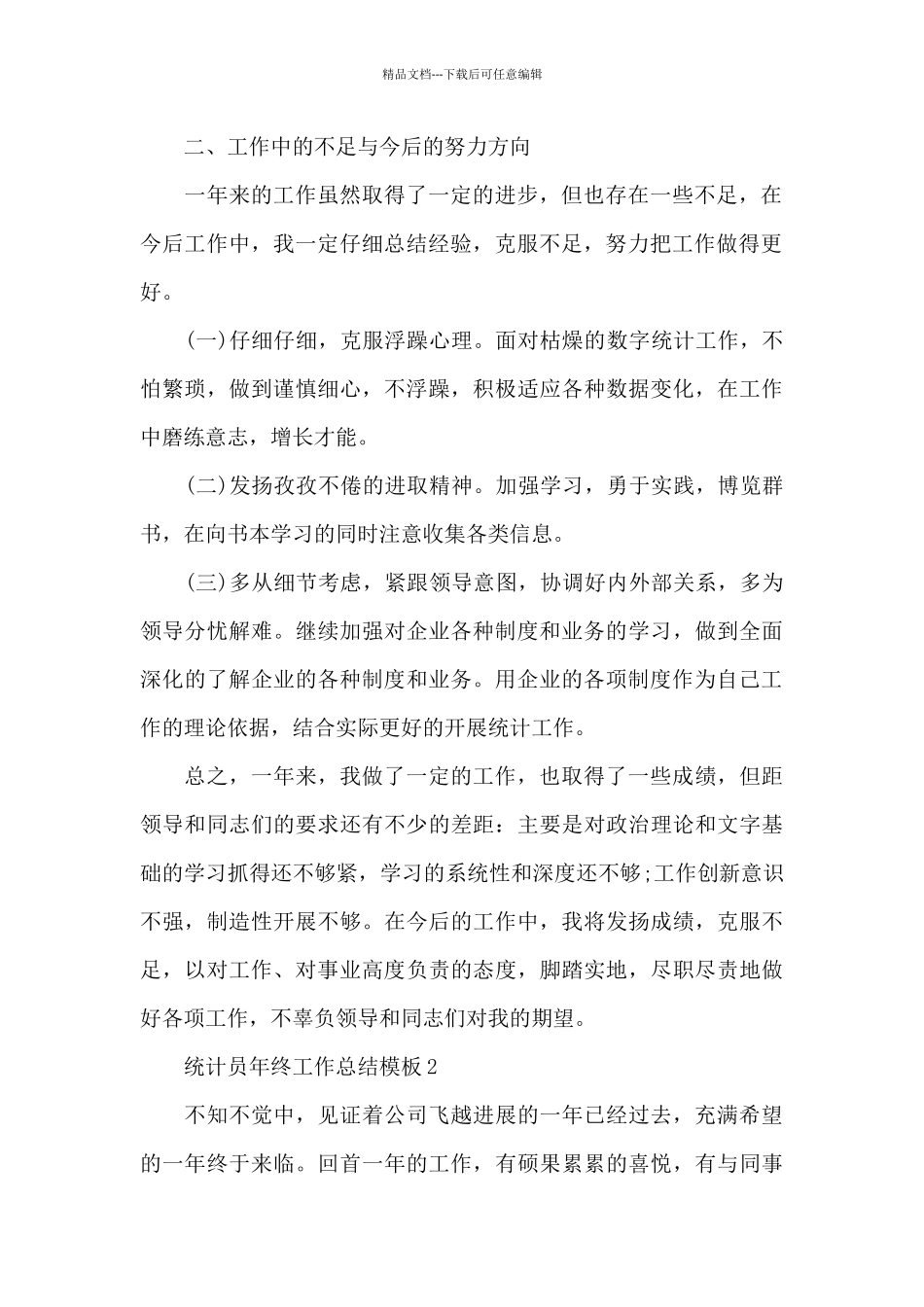 统计员年终工作总结模板_第2页