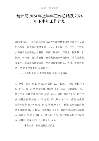 统计局2024年上半年工作总结及2024年下半年工作计划
