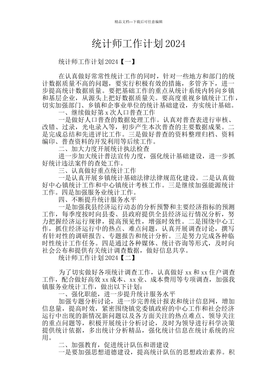 统计师工作计划2024_第1页