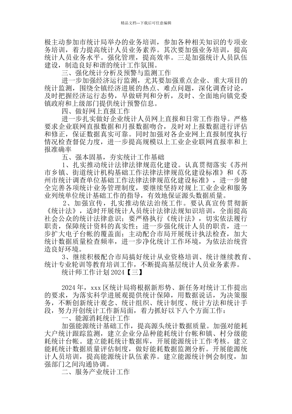 统计师工作计划2024_第2页