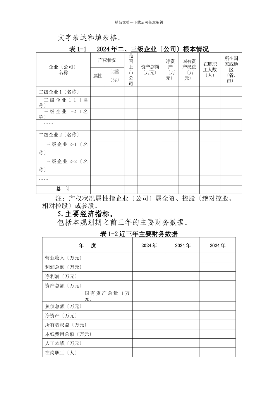 绵阳市市属企业发展战略与规划编制_第2页