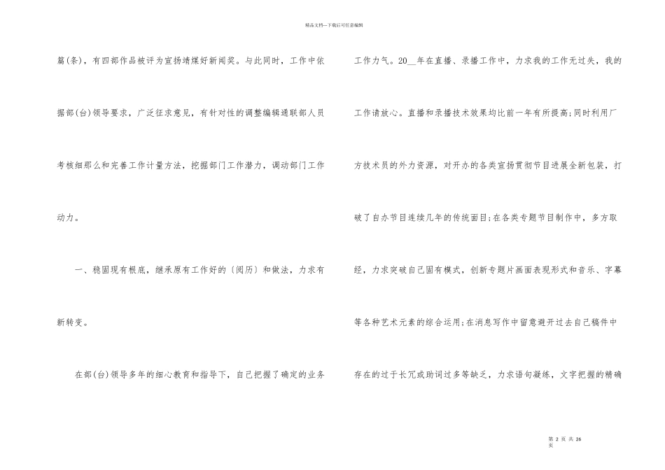 编辑个人工作总结模板_第2页