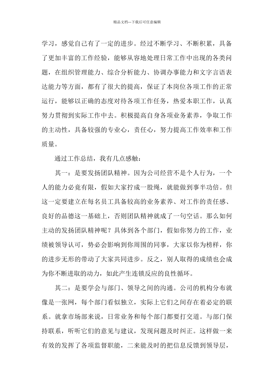 编辑年终个人工作总结2024_第2页