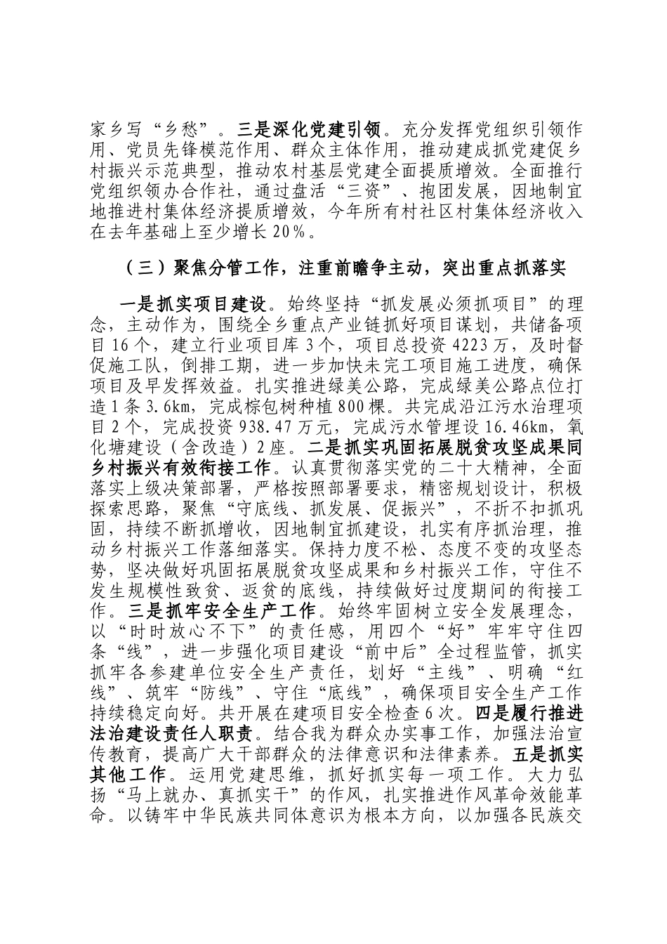 2024年村级领导干部个人述职报告_第2页