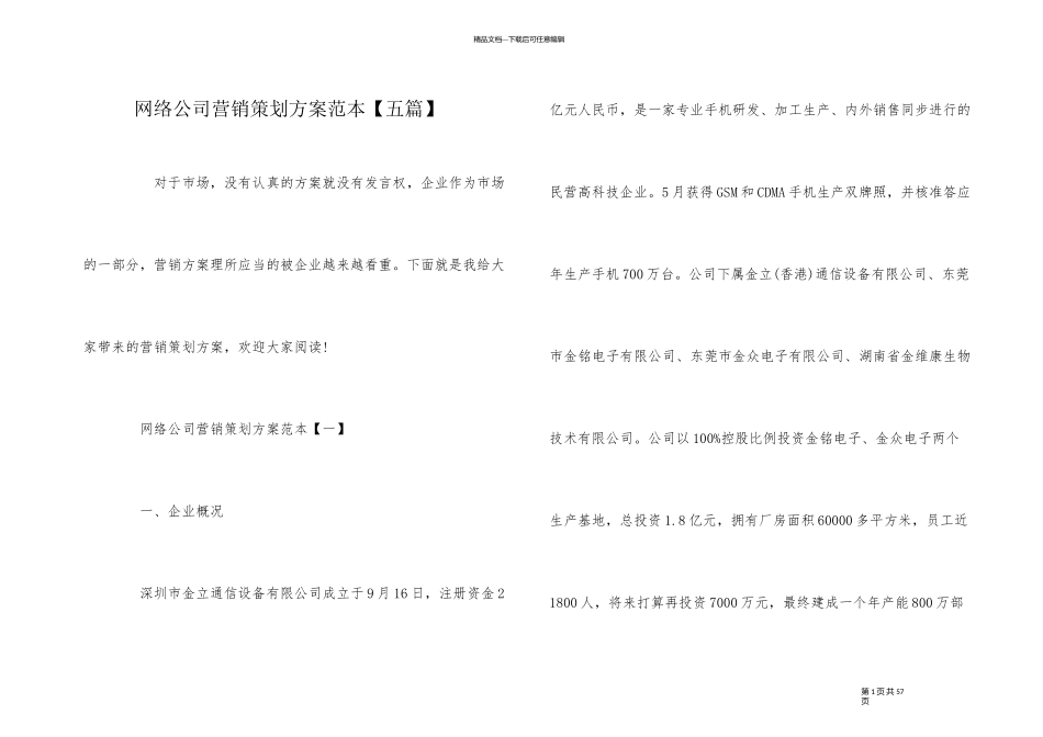 网络公司营销策划方案范本_第1页