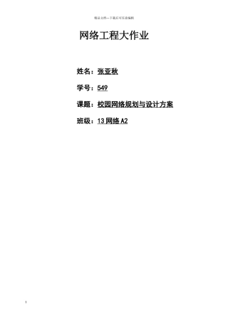 网络工程大作业