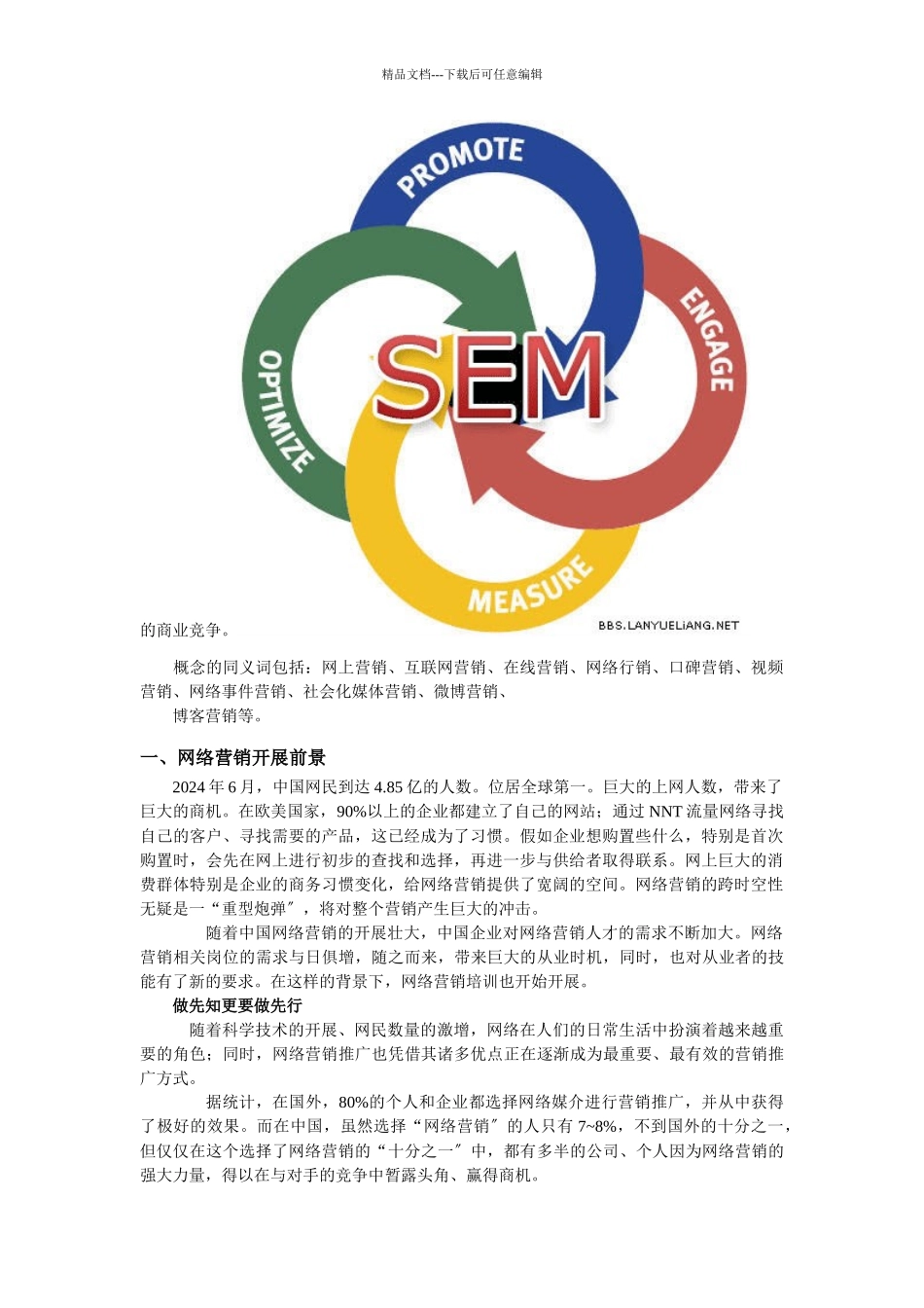 网络营销介绍_第2页