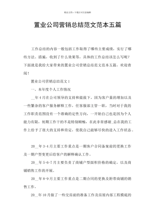 置业公司营销总结范文范本五篇