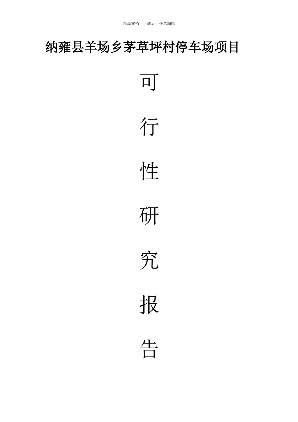 羊场乡集镇停车场工程项目可行性研究报告_第1页