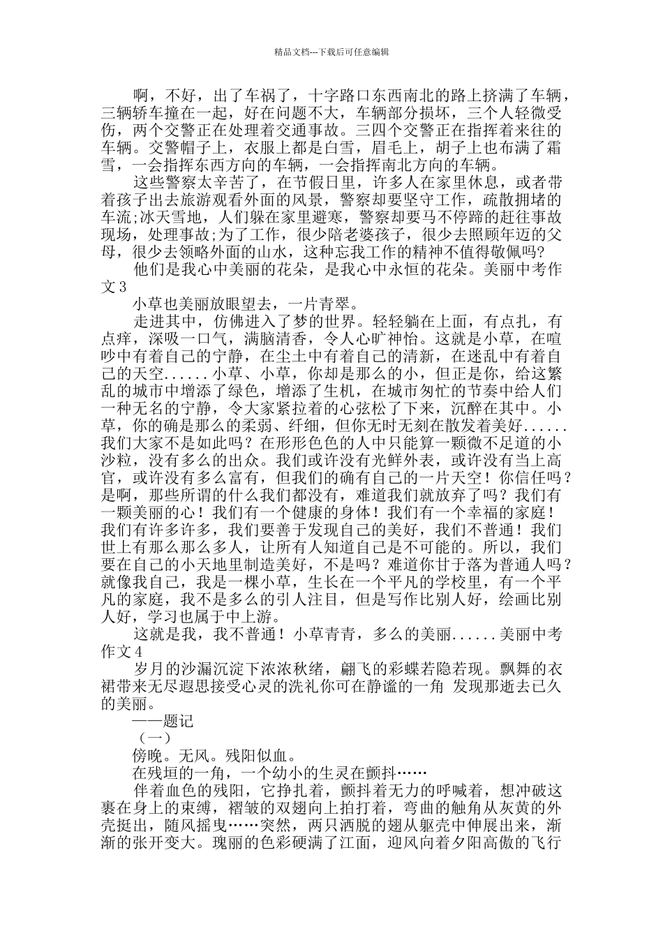 美丽中考作文_第2页