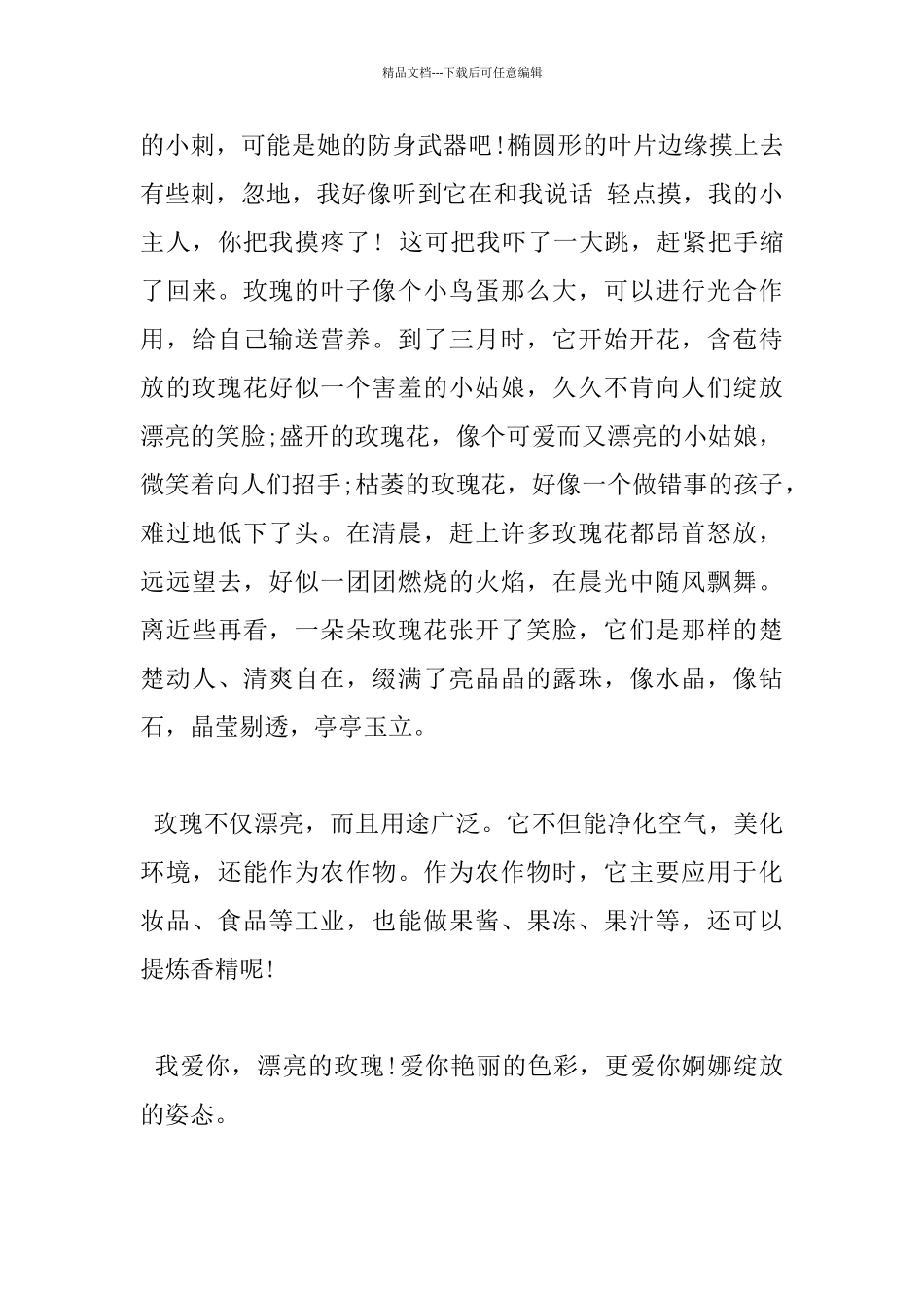 美丽的玫瑰花300字优秀作文5分享_第3页