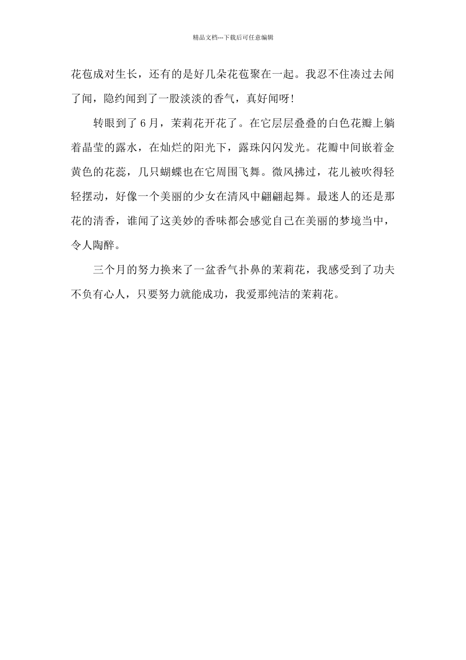 美丽的茉莉花_第2页