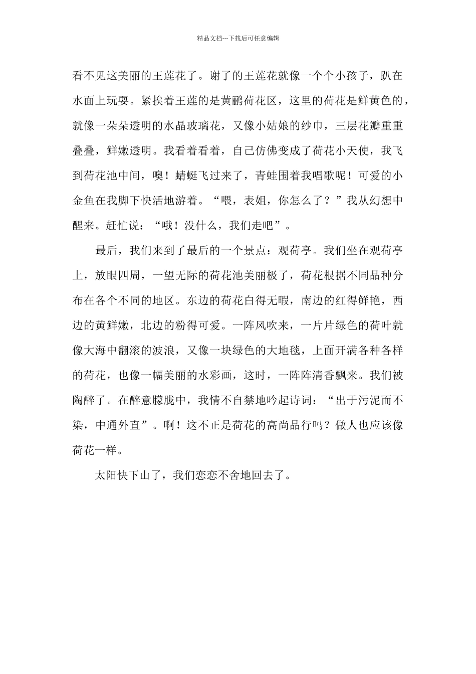 美丽的荷花世界_第2页