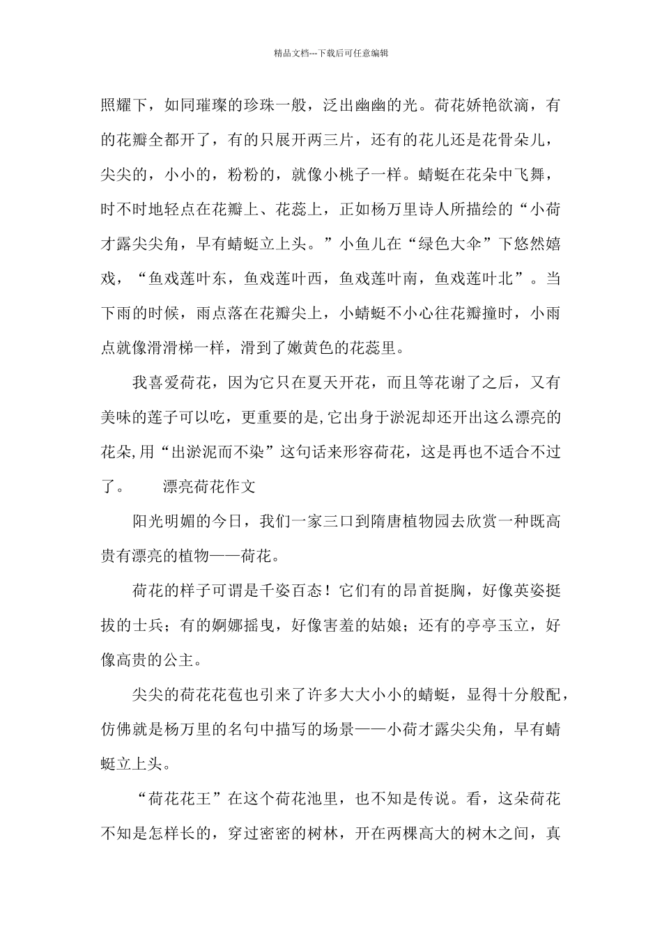 美丽荷花作文_第3页