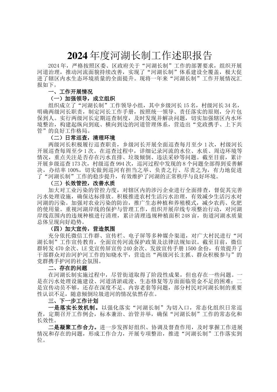 2024年度河湖长制工作述职报告_第1页