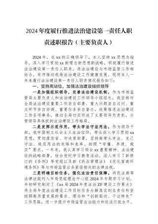 2024年度履行推进法治建设第一责任人职责述职报告（主要负责人）