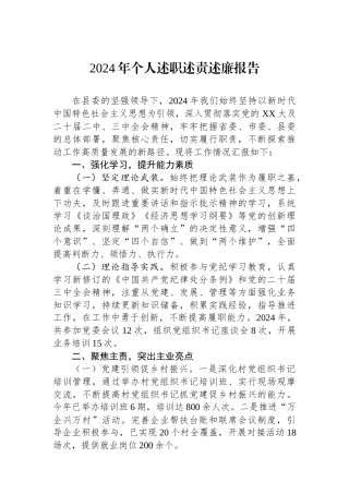 2024年个人述职述责述廉报告