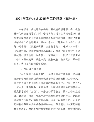 2024年工作总结2025年工作思路（统计局）