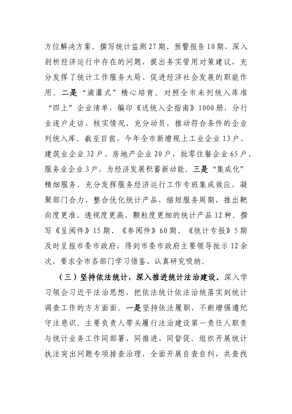 2024年工作总结报告（统计局）_第3页