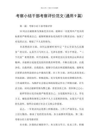 考察小结干部考察评价范文