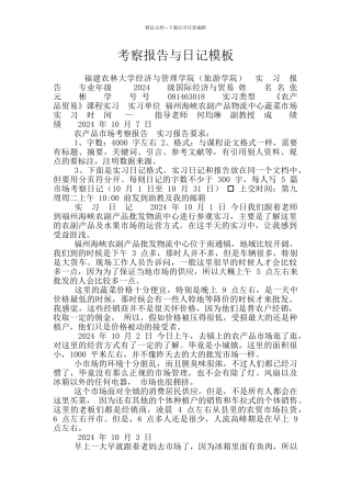 考察报告与日记模板