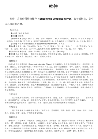 杜仲常识及种植要点