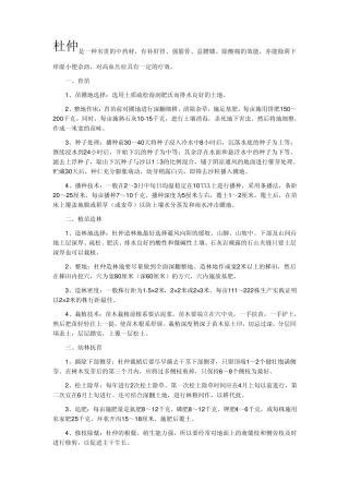 杜仲是一种名贵的中药材