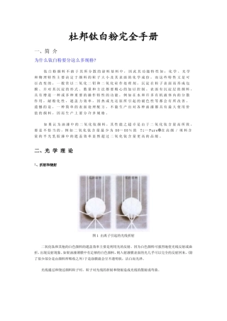 杜邦钛白粉完全手册