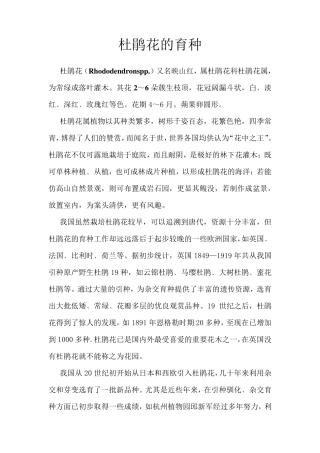 杜鹃花的育种56