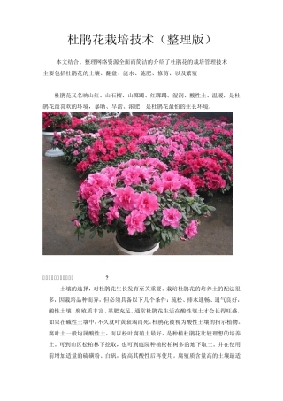 杜鹃花栽培技术