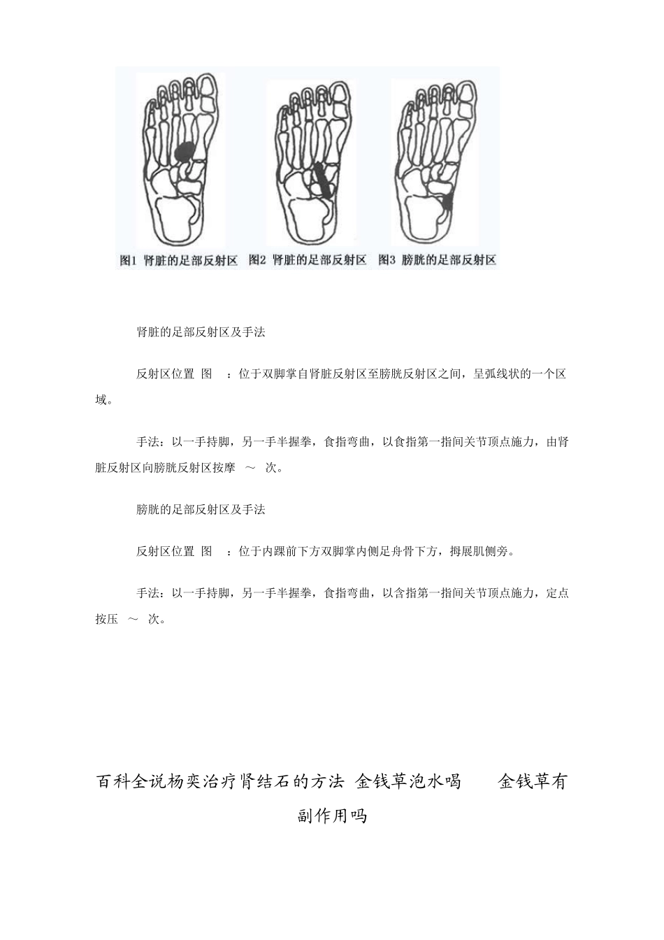 杨奕：不吃药治疗肾结石绝招_第3页