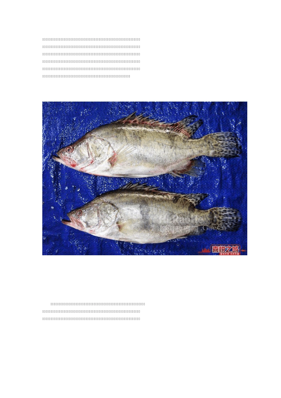 松花江的名鱼——“三花五罗十八子七十二杂鱼”,你吃过几个!_第2页