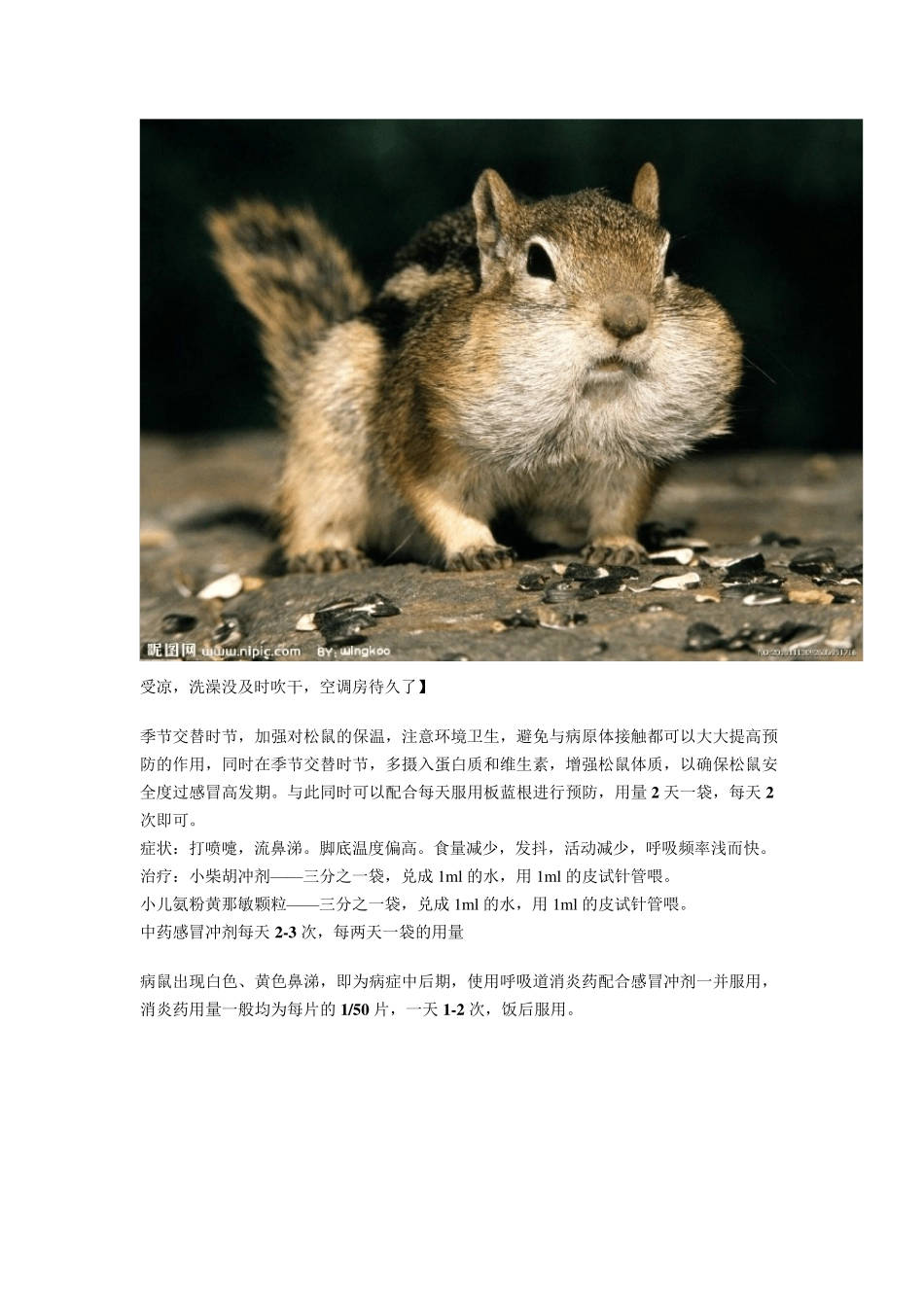 松鼠常见疾病治疗方案_第3页