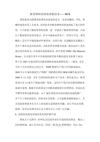 板巻钢材表面处理新技SCS