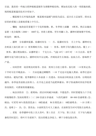 板蓝根种植相关