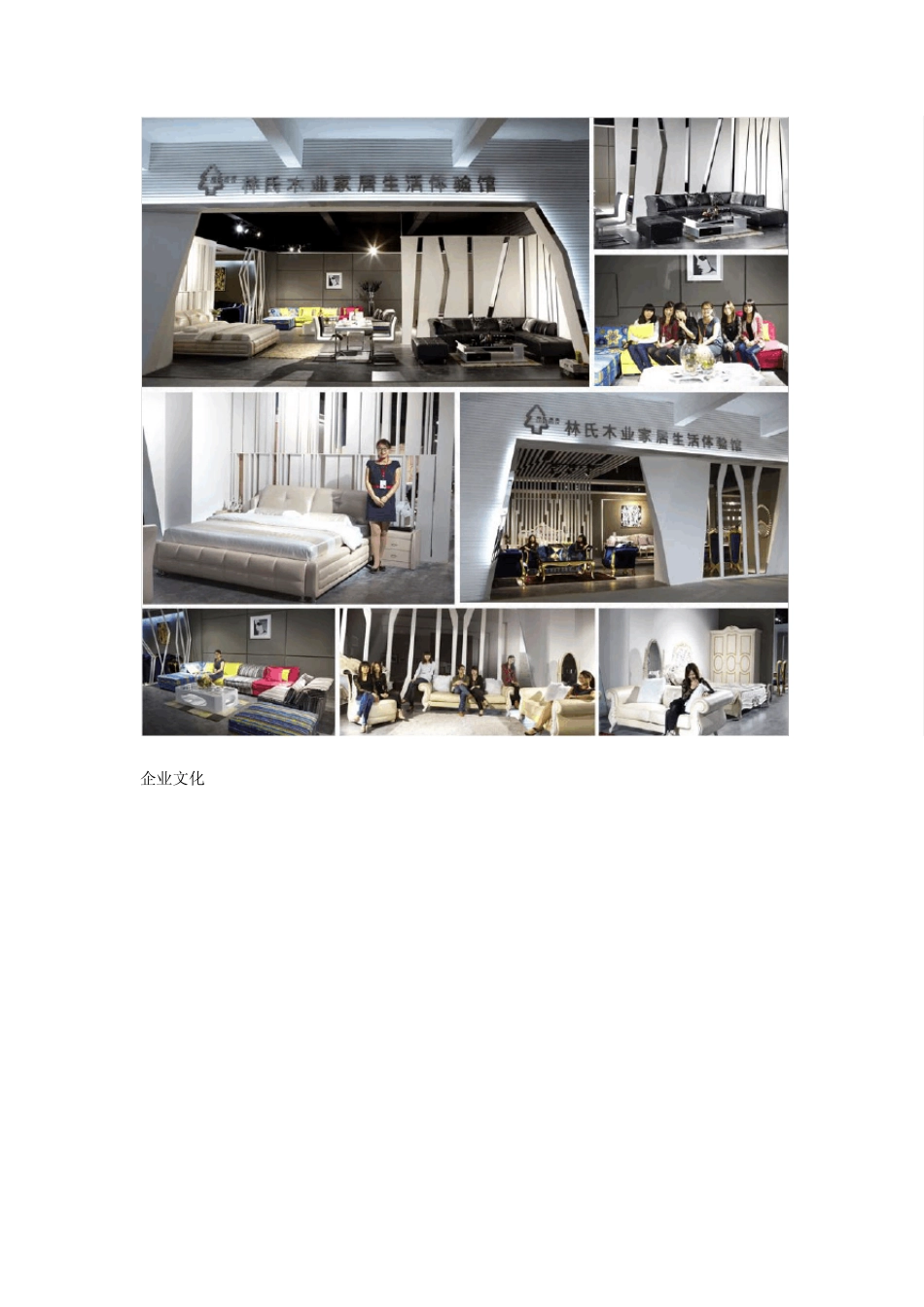 林氏木业家具发展史_第2页